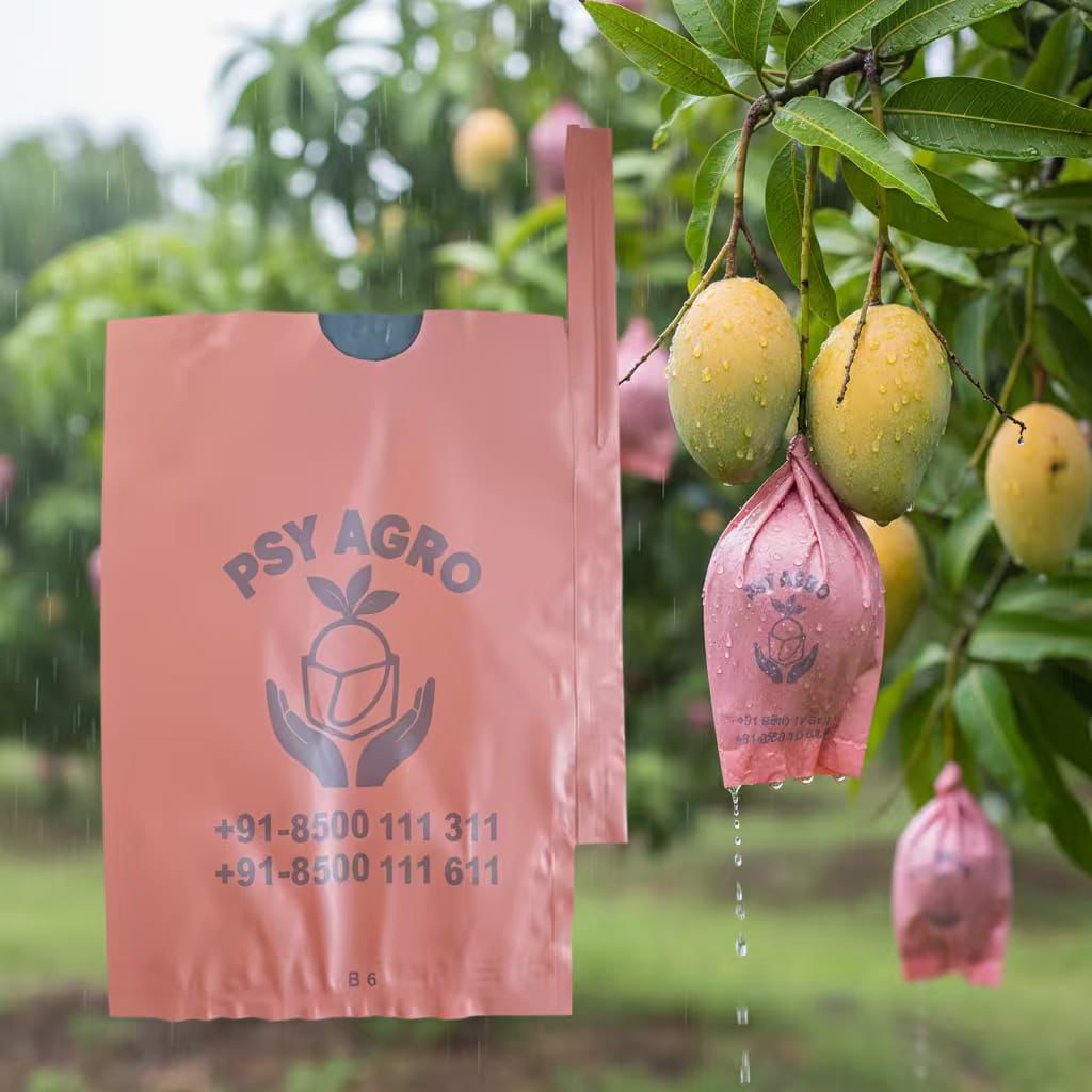 Mango Protection Bags-Import Quality